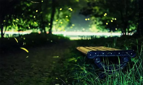 最后的同信府，最后的市中心庭院洋房