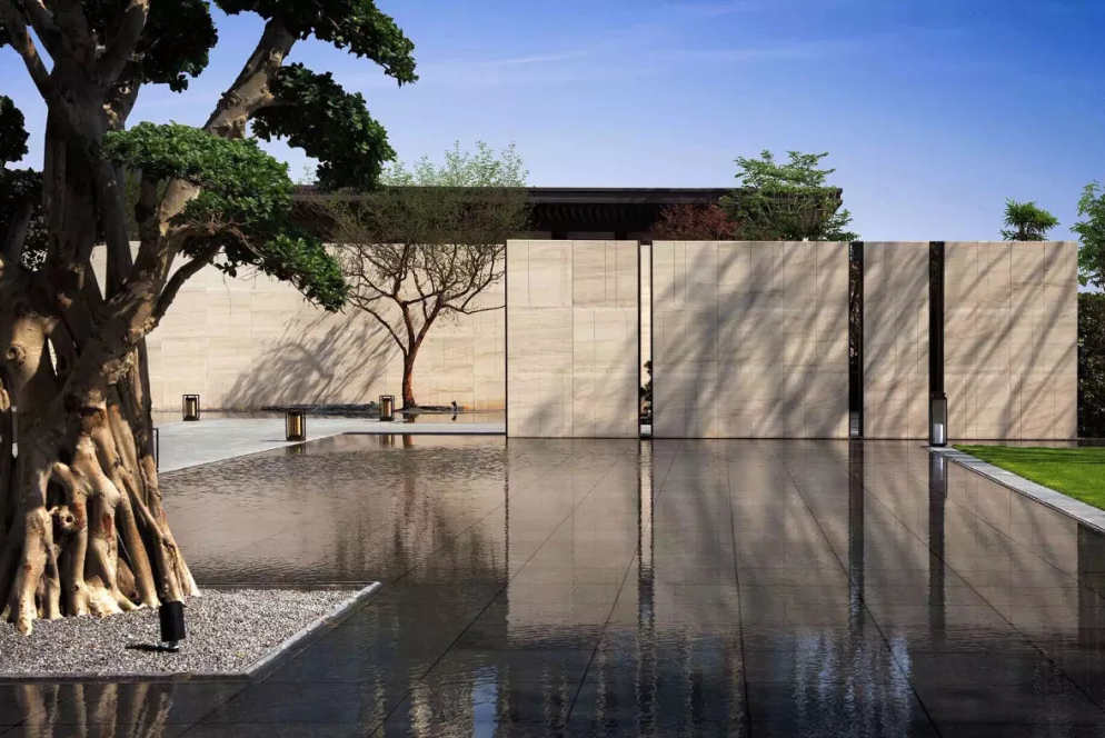 心之所向，桃花源！