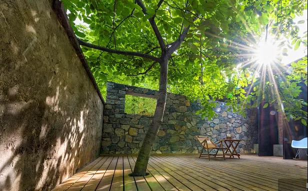 同信·愛家壹號|曾經(jīng)江湖策馬，如今院里觀花！