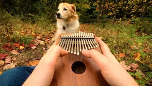 河畔有約丨看見指尖藝術(shù)，聆聽幻彩音符！